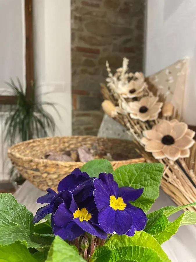 Villa Borgo Soale Reggello